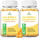 Sea Moss Gummies for Adults and Kids, 2000mg Ακατέργαστο Seamoss, Bladderwrack, Burdock Root, Elderberry, Pepper, βιταμίνη C & D3, Ο ψευδάργυρος υποστηρίζει το ανοσοποιητικό σύστημα και την ενίσχυση της ενέργειας (2-Pack)