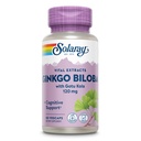 SOLARAY Ginkgo Biloba Extract with Gotu Kola - Κάψουλες Ginko Biloba για την υποστήριξη της υγείας του εγκεφάλου - Vegan, Εργαστήριο Επαληθευμένο, 60 ημερών εγγύηση - 60 εξυπηρετούν, 60 VegCaps (60 VegCaps)