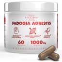 Fadogia Agrestis 1000mg ανά συμπλήρωμα υπηρεσίας - ισχυρό εκχύλισμα για την αύξηση της ενέργειας, της αθλητικής απόδοσης και της μυϊκής μάζας - συμπληρώματα, Made in The USA (60 κάψουλες)
