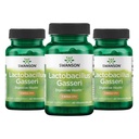 Swanson Lactobacillus Gasseri Probiotic for Adults Seeking Digestive and Metabolic Support with 3 Billion CFU - Acid-Resistant, No Refrigeration (60 Vegan Capsules, 3 Pack)