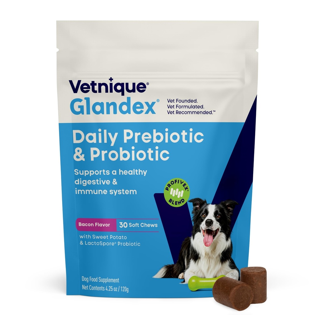 Vetnique Glandex καθημερινά προβιοτικά για σκύλους με πρεβιοτικά για την υποστήριξη της υγείας των ουρών με ένζυμα Fiber και Digestive, Probiotic Chews ή σκόνη (30ct Chews, Bacon Chews)