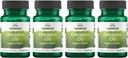 Swanson Oregano Oil 10:1 Extract - Φυσικό συμπλήρωμα για την προώθηση της Digestive Υγείας & αναπνευστικής υποστήριξης - Υποστηρίζει Γαστρεντερικό σύστημα & ούρα Φυλλαδική υγεία - (120 Softgels, 150mg έκαστο) (4 Συσκευασία)