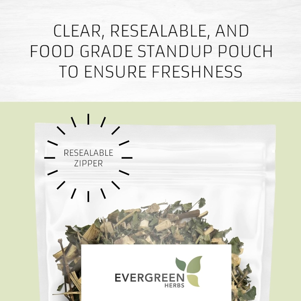 Evergreen Herbs Cuachalalate Herb (Amphipetyglum Adstringens) - Επαναχρησιμοποιήσιμα Stand Up Pouch για να εξασφαλίσει τη φρεσκάδα! (Tea τσάντες)