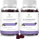 Sambucus Elderberry Gummies, Black Elderberry Gummy με ψευδάργυρο και βιταμίνη C για ενήλικες, Sugar Free Kids Multivitamin Gummies Immune Support* Συμπλήρωμα (2 Pack)