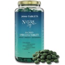 Φυσικό Zing 100% Pure Spirulina (Raw, Organic) 