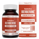 SoActive Berberine 550mg: 9.6X Υψηλότερη απορρόφηση, Κλινικά Σπουδασμένη, Βελτιστοποιημένη Φυτοσωμία 