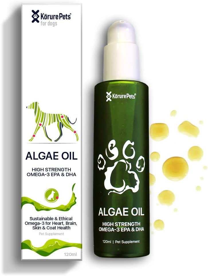 Ωμέγα 3 για τα σκυλιά, το δέρμα και το παλτό συμπλήρωμα για τα σκυλιά, Algae Oil, Εναλλακτικό ιχθυέλαιο για τα σκυλιά, Αλλεργία και Itch Dog Relief, Σκύλος Anti Shedding συμπλήρωμα, Σκύλος ξηρό δέρμα θεραπεία, Από τη Νέα Ζηλανδία 120ml