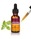 Herb Pharm Ashwagandha Liquid Extract: Organic, Calming Ayurvedic Adaptogen, Stress Support Supplement | Fast-Absorbing & Sugar-Free Ashwagandha Tincture | Up to 3 Week Supply, 1 oz*