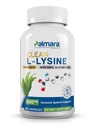 Palmara Υγεία Καθαρή L-Lysine 600mg, 120 Κάψουλες 