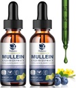 Mullein Drops for Lungs, Lung Detox & Cleanse, Vegan Mullein Leaf Extract Βάμμα με Chlorophyl Elderberry, κλπ, Φυσικό συμπλήρωμα βοτάνων για αναπνευστικό, ανοσοποιητικό, 60 υπηρεσίες