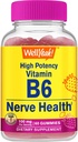 WellYes High Potency Vitamin B6 Gummies - Προάγει Nerve Υγεία, Γνωστική λειτουργία, ρύθμιση Mood, ανοσοποιητική υποστήριξη, και καρδιοαγγειακή υγεία - Vegan, μη-GMO, Gluten-free - 60 Count