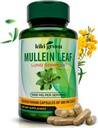 KIKI Green Mullein Leaf Extract Κάψουλες - Vegan Herbal Supplement - για τον καθαρισμό πνεύμονα, υποστήριξη, καλύτερη αναπνευστική λειτουργία, ανοσοποιητική λειτουργία - 1000mg 45 Servings - 90 Count