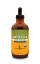 Βότανο Pharm Certified Organic Gotu Kola Liquid Extract για την υποστήριξη του μυοσκελετικού συστήματος - 4 ουγγιά