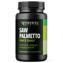 Πριόνι Palmetto για τους άνδρες Prostate συμπλήρωμα υγείας για την προώθηση της ούρων Φυλλαδική λειτουργία - 500mg ανά υπηρεσία - 200 Count - DHT Blocker Βιταμίνη μαλλιών - Vegan, μη ΓΤΟ κάψουλες, άνω των 6 μηνών προμήθεια