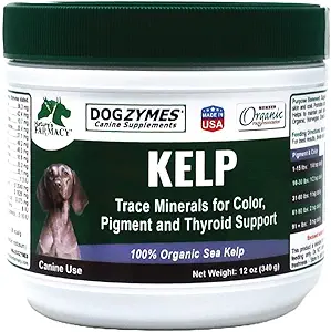 Dogzymes Organic Norwegian Kelp for Pets, μια πολύτιμη πηγή διατροφής πλούσια σε ιώδιο για να υποστηρίξει τη λειτουργία Gland, ειδικά το θυρεοειδές (12 ουγγιά)