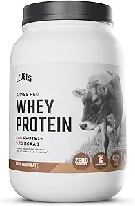 Επίπεδα Grass Fed Whey πρωτεΐνη σκόνη, χωρίς τεχνητά, 24G πρωτεΐνης, καθαρή σοκολάτα, 2LB