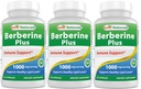 Best Naturals Berberine Plus 1000 mg/Serving 120 Capsules - (Pack of 3)