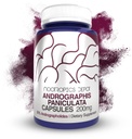 Androographis paniculata Κάψουλες 