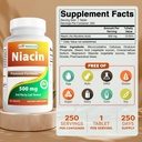 Best Naturals Niacin 500mg 250 Tablets with Flushing - Επίσης ονομάζεται βιταμίνη Β3 (250 Count (Pack of 2))