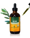 Βότανο Pharm Certified Organic Olive Leaf Liquid Extract για την υποστήριξη ανοσοποιητικού συστήματος, 4 Fl Oz