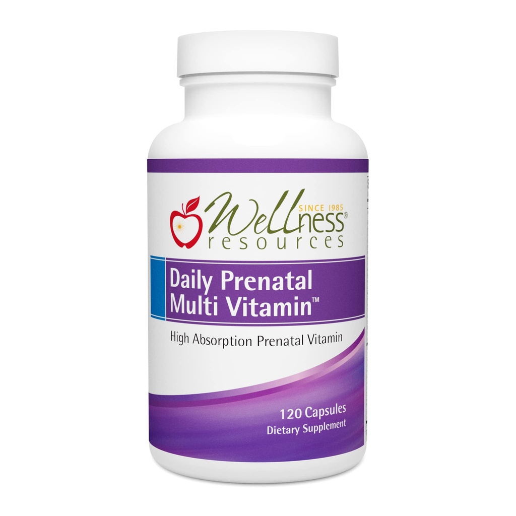 Wellness Resources Daily Prenatal Multi Vitamin - Methylated Folate Zinc Iron Bisglycinate Choline & Key Nutrients - Natural Prenatal Postnatal Postpartum Vitamins for Women - 120 Caps