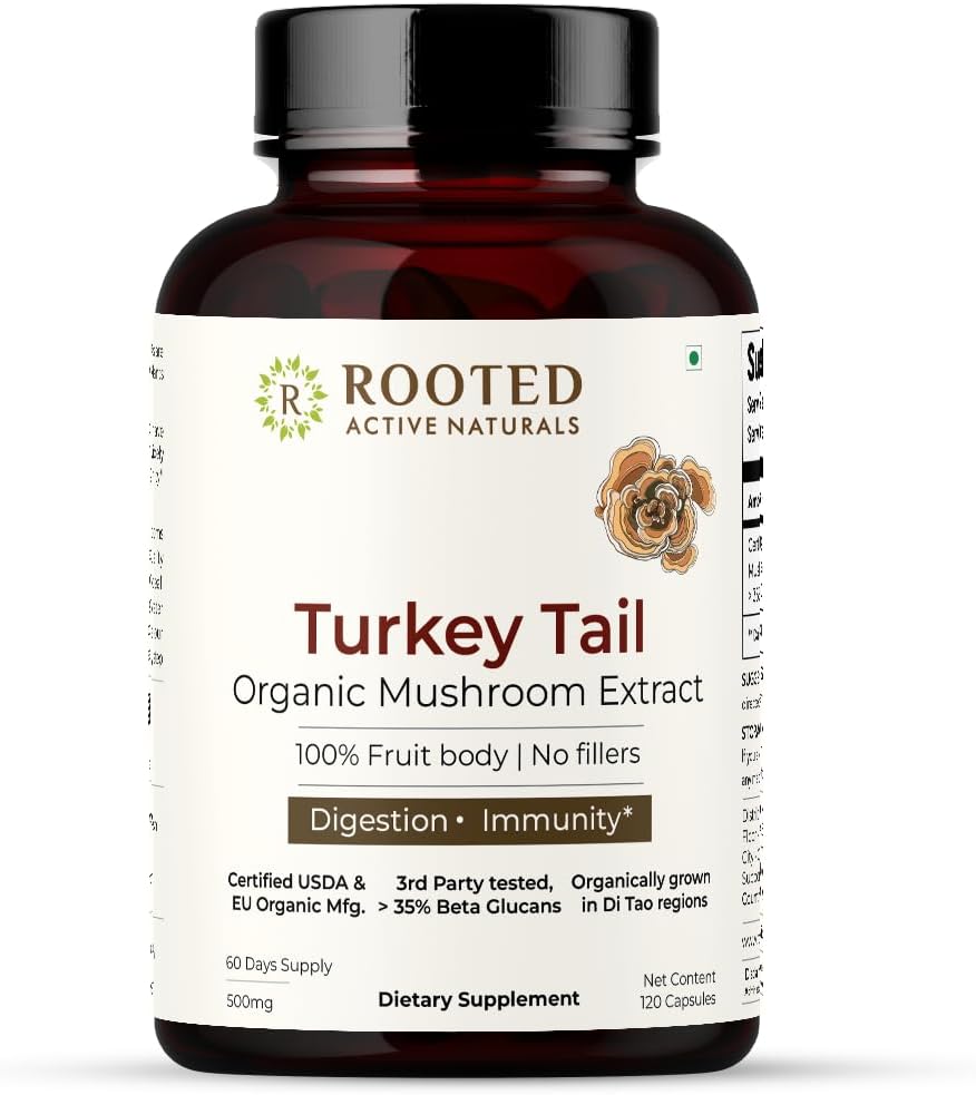 ROUTED Active's Turkey Tail Mushroom Extract Κάψουλες 