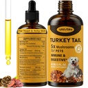 Turkey Tail Mushroom for Dogs - for Yeast & Itchy Skin, Turkey Tail Mushroom for Immune & Digestive, Joint, Energy, 5X Mushrooms for Pet Drop with Turmeric & Probiotic - Vet Formulated, 90 ML