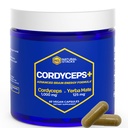 Cordyceps Mushroom Capsules - 1000mg Cordyceps Extract & 125mg Yerba Mate Extract - 100% Fruiting Body Mushroom Supplement - Supports Brain Energy & Cognitive Performance - 60 Yerba Mate Capsules