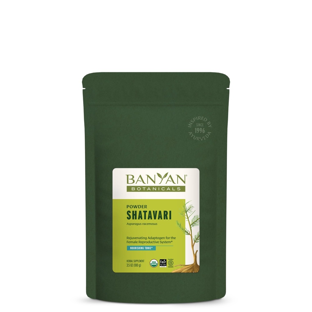 Banyan Botanicals Shatavari σκόνη – οργανική σκόνη ρίζας asparagus Racemosus – Rejuvenating Adaptogen Τονωτικό που υποστηρίζει ένα υγιές αναπαραγωγικό σύστημα * – 3,5 oz. – Μη ΓΤΟ Βιώσιμα πηγάζει Vegan