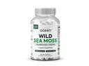 Organics Ocean Wild Sea Moss Capsules - 100% Organic Irish Sea Moss with Organic Chlorella, Bladderwrack and Vitamin D for Energy, Lung Health and Thyroid Support for Women and Men - 60 Capsules