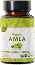 Amla 120 δισκία – USDA Organic Indian Gooseberry – Πλούσιο σε βιταμίνη C & Υποστηρίζει την Ανοσολογική Υγεία*