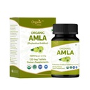 Amla 120 δισκία – USDA Organic Indian Gooseberry – Πλούσιο σε βιταμίνη C & Υποστηρίζει την Ανοσολογική Υγεία*