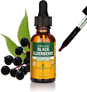 Βότανο Pharm Certified Organic Black Elderberry Liquid Extract for Immune System Support, Organic Cane Alcohol, 1 Oz
