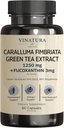 VINATURA Caralluma Fimbriata, EGCG 45% Extract 1250mg + Fucoxanthin 3mg ανά υπηρεσία *USA Made & Tested* για την υποστήριξη του ανοσοποιητικού, την ενέργεια και την ψυχική εστίαση - 60 κάψουλες 30 Υπηρεσίες
