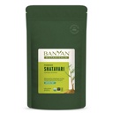 Banyan Botanicals Organic Shatavari Powder – Rejuvenating Tonic for Feminine Vitality & Resilience – Cooling Adaptogen for Internal Hydration & Systemic Nourishment – 1/2 lb – USDA Organic