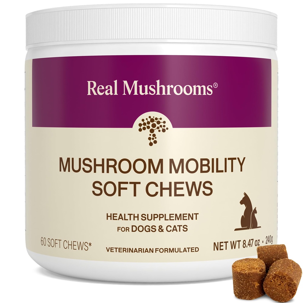 Real Mushrooms Mobility Chews for Dogs & Cats – Green Lipped Mussel & ErgoGold Mushroom Blend – Dogs & Cat Vitamins Treats for Active Routines – Κοινή, Hip & Ευελιξία Υποστήριξη – 240 ct Συμπλήρωμα