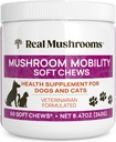 Real Mushrooms Mobility Chews for Dogs & Cats – Green Lipped Mussel & ErgoGold Mushroom Blend – Dogs & Cat Vitamins Treats for Active Routines – Κοινή, Hip & Ευελιξία Υποστήριξη – 240 ct Συμπλήρωμα