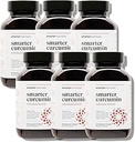Smarter Nutrition Curcumin Softgels - Vegan Υψηλή απορρόφηση 400 mg συμπλήρωμα κουρκουμίνης Τυποποιημένο σε 95% Τετραϋδροκουρκουμινοειδή + Μαύρο Έλαιο Σπόρου & Τζίντζερ για Κοινή & Ανοσοποιητική Υγεία - 360 Ct