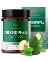 HERBAMAMA Chlorophyl Detox Gummies - 50mg Νάτριο Chlorophyllin Εσωτερικό Αποσμητικό για την υποστήριξη ODOR σώματος - Vegan, μη GMO Αντιοξειδωτικό συμπλήρωμα - 90 Pectin-based Apple-Flavored Chews