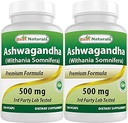Best Naturals Ashwagandha Extract 500 Mg 120 Capsules (Pack of 2)