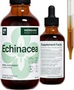 Echinacea 4 fl oz Liquid Extract - Βιολογική Ρίζα, Φύλλο, Λουλούδι, Σπόροι - Φυσικό συμπλήρωμα βοτάνων - Σώμα, ανοσοποιητικό σύστημα Υποστήριξη Βάμμα - Σταγόνες υψηλής ισχύος - 90-Ημέρες προσφοράς - Οικογενειακό μέγεθος