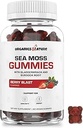 ORGANICS ΦΥΣΗ Ιρλανδική θάλασσα Moss Gummies για Lung Detox, Thyroid, δύναμη ανοσοποιητική & ενεργειακή υποστήριξη, Vegan Seamoss Gummies για παιδιά & ενήλικες - 60 Vegan Gummy Bears Berry Flavored