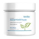 Δρ Wilson του Adrenal Power Powder 450 γραμμάρια σκόνη