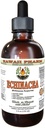 Echinacea Liquid Extract χωρίς αλκοόλη, Organic Echinacea (Echinacea Purpurea) Αποξηραμένα βότανα Γλυκερίτης Χαβάη Pharm Φυσικό συμπλήρωμα βοτάνων 4 oz