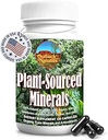 Fulvic Humic Mineral Blend Φυτικών-Πηγών Ανιχνευτικών Ορυκτών, Ηλεκτρολυτών, Υγεία των Ούλων, Γνωστική & Ανοσολογική Υποστήριξη, Καθαρή Φόρμουλα Ζωτικότητας για Δύναμη - - 120 Κάψουλες