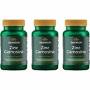 Swanson Zinc Carnosine (PepZin GI) - Φυσικό συμπλήρωμα για την προώθηση της γαστρικής υγείας & Digestive Υποστήριξη - Υποστηρίζει μικροβιακή ισορροπία στο στο στομάχι - (60 κάψουλες) (3 Pack)
