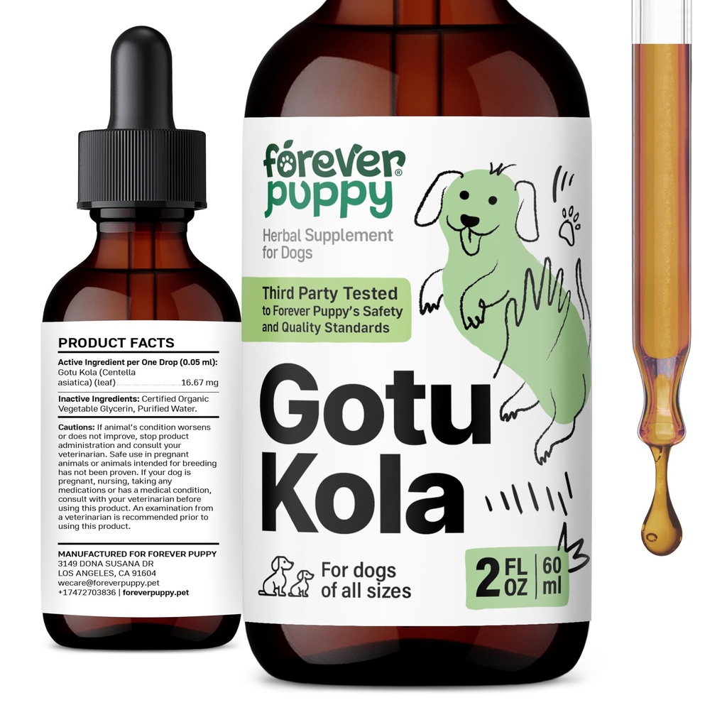 Forever κουτάβι Gotu Kola σταγόνες για σκύλους - Centella Asiatica & Gotou εκχύλισμα για την υποστήριξη της υγείας του εγκεφάλου - υγρό συμπλήρωμα εγκεφάλου για σκύλους όλων των Φυλή & Μεγέθη - 2 oz