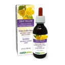 Naturalma Great Mullein or Common Mullein (Verbascum thapsus) Flower and Leaf Alcohol-Free Tincture - 4 fl oz Liquid Extract in Drops - Herbal Supplement - Vegan