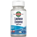KAL Lactase Enzyme 250 mg, Υγιεινή υποστήριξη πήξεως για δυσανεξία στη λακτόζη, υγρό-φιλεμένα ενεργοποιητές Made Without Soy, 250 FCC Units, 30 Services, 60 SoftGels