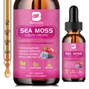 Sea Moss Liquid Drops - Organic Black Seed Oil Irish Sea Moss Gel με Burdock Root, Bladderwrack, Elderberry, Vitamin C, D3, 6X Ισχυρότερο Seamoss Gel για Digestive, Hair Health - Vegan